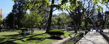 FLORESTA